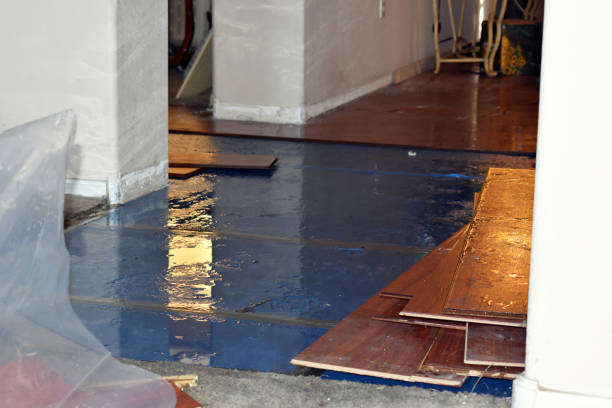 Professional Flood Cleanup technician working in Woodland Hills, CA